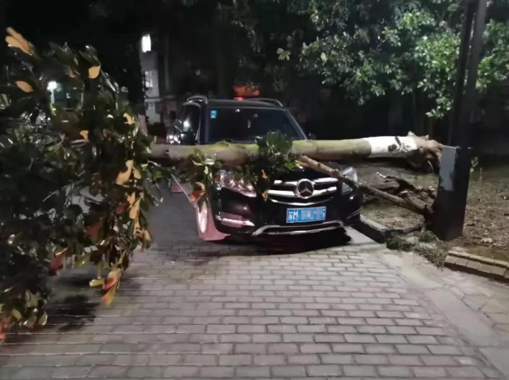 南通天气_南通冰雹强雷暴大风灾害_江苏南通极端天气人员伤亡