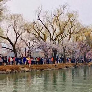 北京本周天气向暖昼夜温差12度_北京未来一周天气预报_北京天气预报15天