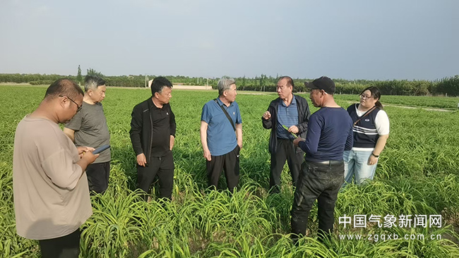 晋城天气_山西气象现代化_临汾气象灾害防御试点