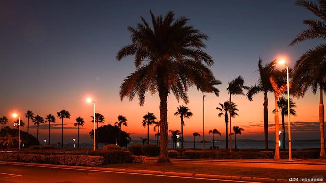 假期带孩子去厦门旅游5天4晚要多少钱？厦门超划算5日亲子游攻略