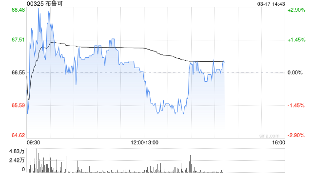 花旗:下调布鲁可目标价至88港元 维持“买入”评级