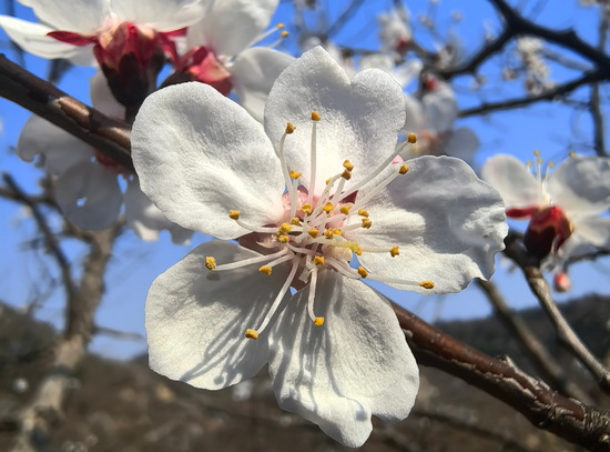 万亿公募汇添富：“选股专家”变“被动之家”