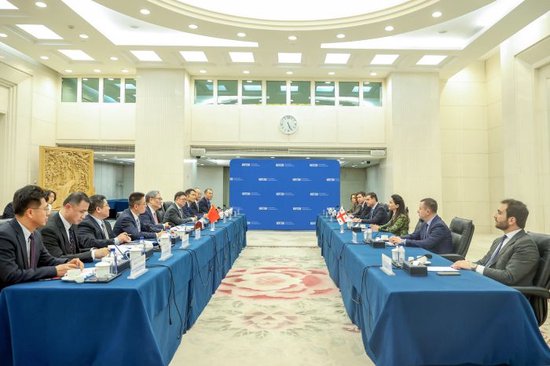 商务部部长王文涛会见格鲁吉亚经济和可持续发展部部长克夫利维什维利